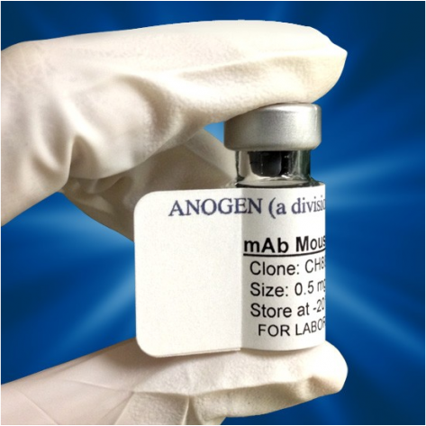 mAb anti-Human GM-CSF, 29