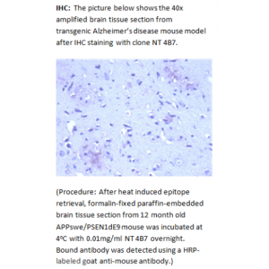 mAb anti-Amyloid Î² Peptide N-terminal, NT 4B7
